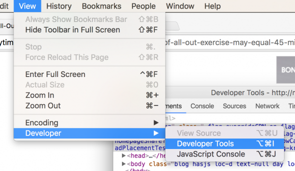 A screenshot of the "view" menu in a browser, leading to the "developer tools" option
