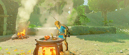 Link cooking at a pot in Breath of the Wild 