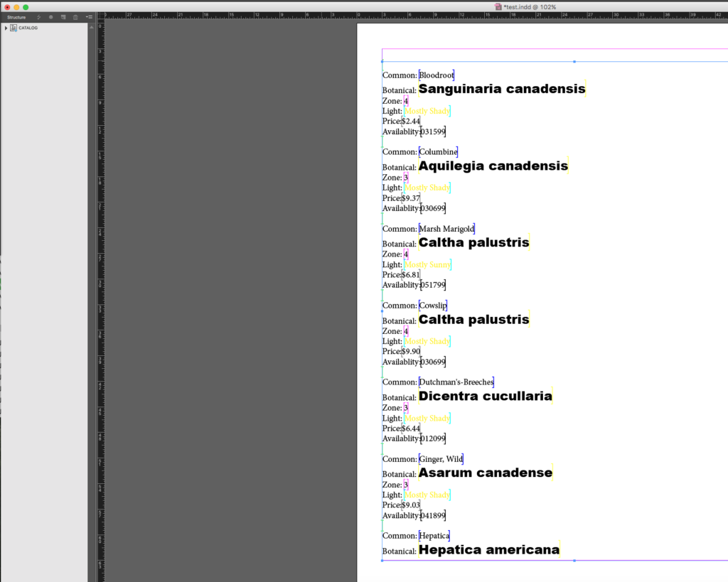 Creating a Dynamic Catalog with InDesign Templates & XML Data