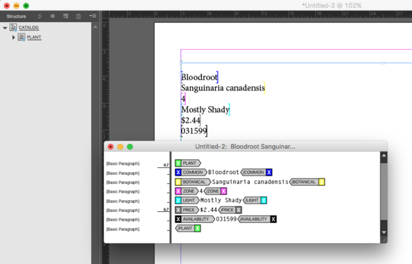 What Is Dynamic Indesign Creating a Dynamic Catalog with InDesign Templates & XML Data