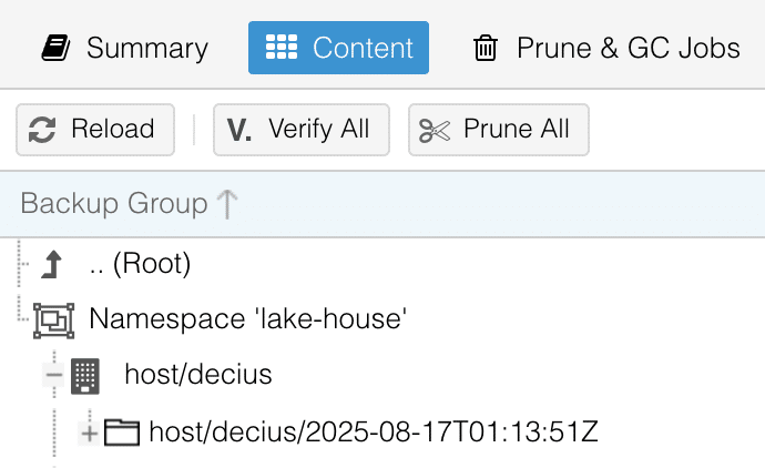Backup viewed in Proxmox Backup Server