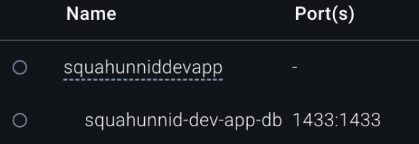 A screenshot of the docker container itself.