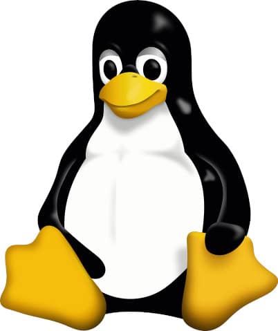 Linux-based environment: tools for diagnosing issues